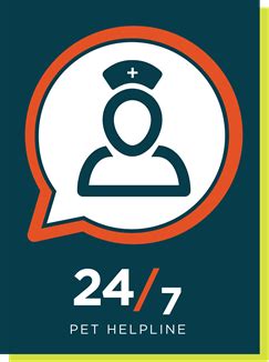 24 hour vet|free 24 hour vet helpline.